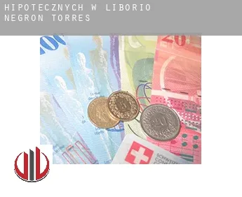 Hipotecznych w  Liborio Negron Torres