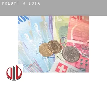 Kredyt w  Iota