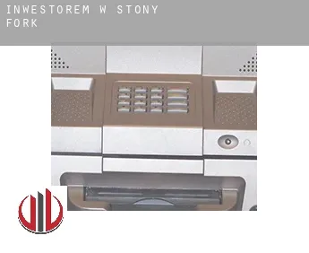 Inwestorem w  Stony Fork