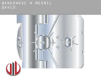 Bankowość w  Mesnil-David