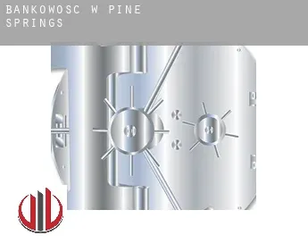 Bankowość w  Pine Springs