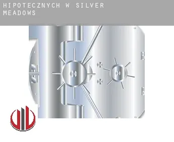 Hipotecznych w  Silver Meadows