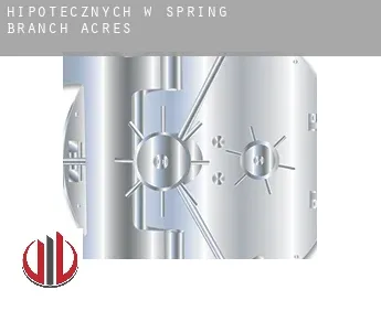 Hipotecznych w  Spring Branch Acres