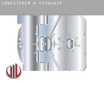 Inwestorem w  Carbunup