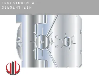 Inwestorem w  Siegenstein