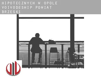 Hipotecznych w  Powiat brzeski (Opole Voivodeship)