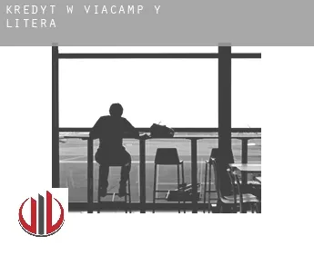 Kredyt w  Viacamp y Litera