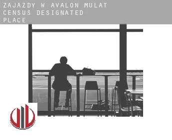 Zajazdy w  Avalon Mulat