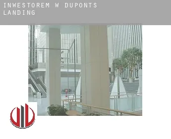 Inwestorem w  Duponts Landing