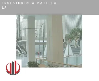 Inwestorem w  Matilla (La)