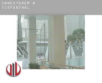 Inwestorem w  Tiefenthal