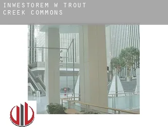 Inwestorem w  Trout Creek Commons