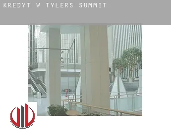 Kredyt w  Tylers Summit