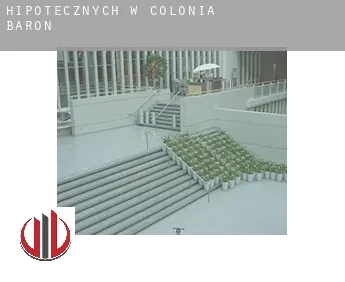 Hipotecznych w  Colonia Barón