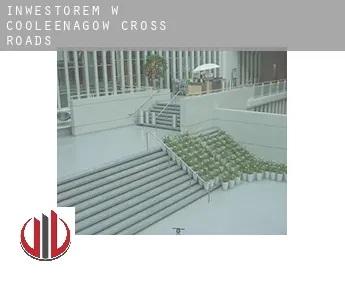 Inwestorem w  Cooleenagow Cross Roads