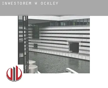 Inwestorem w  Ockley