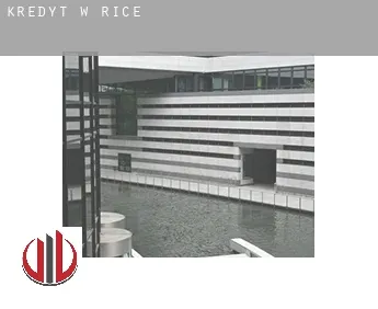 Kredyt w  Rice