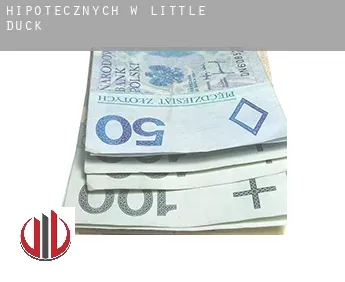 Hipotecznych w  Little Duck