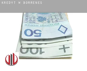 Kredyt w  Borrenes